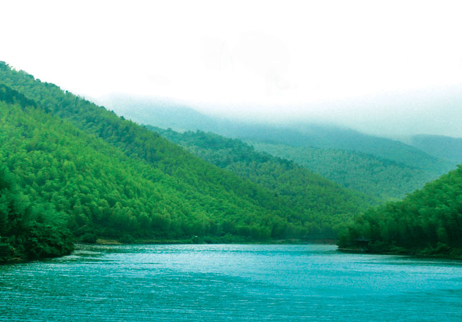 天目湖南山竹海